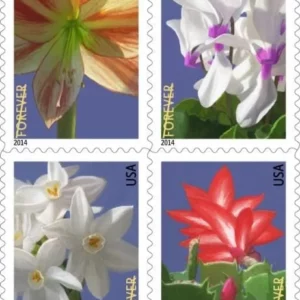 Winter Flowers Forever Stamps