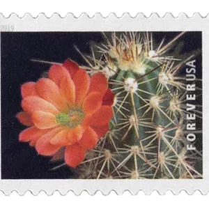 Cactus Flowers Forever Stamps